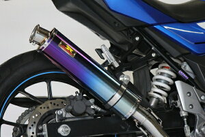 ACYACY Realize AA GSX250R (2BK-DN11A) `^ TypeC
