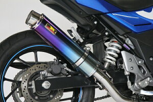 ACYACY Realize AA GSX250R (2BK-DN11A) `^ TypeS