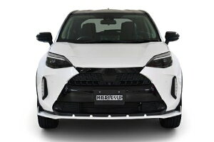 mubZXNX 10/15 tgbvX|C[ FRP PFh Vo[^bN (1L0)