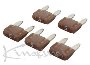 �L�m�N�j�L�m�N�j Kinokuni �����}�b�N�X RE3351�I�v�V���� �}�C�N���q���[�Y(5A)5Qty Tan