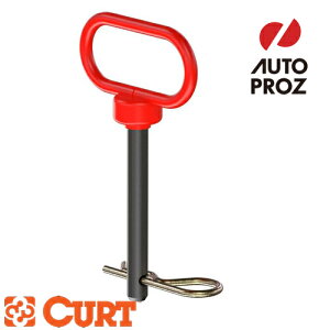 CURT Ki 1/2C` NrXs nhANbvt [J[ۏؕt