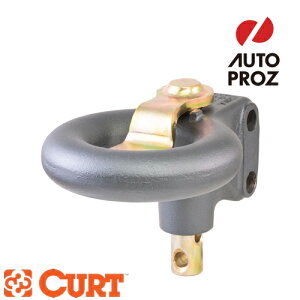 CURT ���K�i SECURELATCH �`���l���X�^�C�� ���l�b�g�����O �z�[�����a3�C���` 2���{���g�p�^�[�� ���[�J�[�ۏؕt