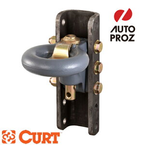 CURT ���K�i SECURELATCH ���l�b�g�����O�t�� �`���l�� ���[�J�[�ۏؕt