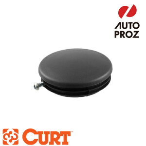 CURT Ki }WbLp WbLLbv TChnhp