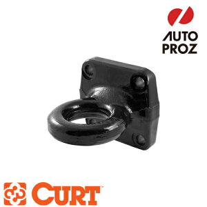 CURT Ki g[[qb`p qb`o[/V[o[qb`p tH[Wh 4{g}EgX^C lbgAC GTW:60,000 LB [J[ۏؕt