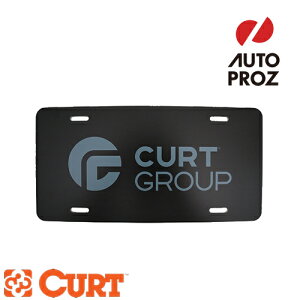CURT Ki CURT io[v[g CT[g F