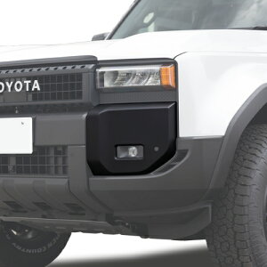 AE^[Jo[ g^ hN[U[ 250n N250 2024Nȍ~s tg E Zbg USg^ i