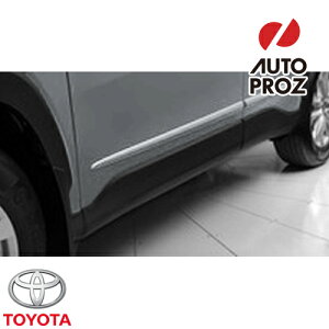 {fBTCh[fBO \jbNVo[^bN(0D10) g^ J[NX L/LE/XLE 2022Nȍ~s USg^ i