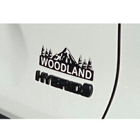 デカール マットブラック TOYOTA RAV4 WOODLAND 50系 2019年式以降現行 転写ステッカー USトヨタ 純正品