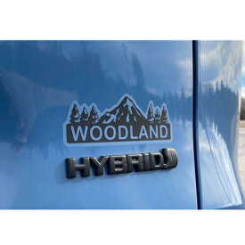 [楽天スーパーSALE 10%OFF] デカール マットグレー TOYOTA RAV4 WOODLAND 50系 2019年式以降現行 転写ステッカー USトヨタ 純正品