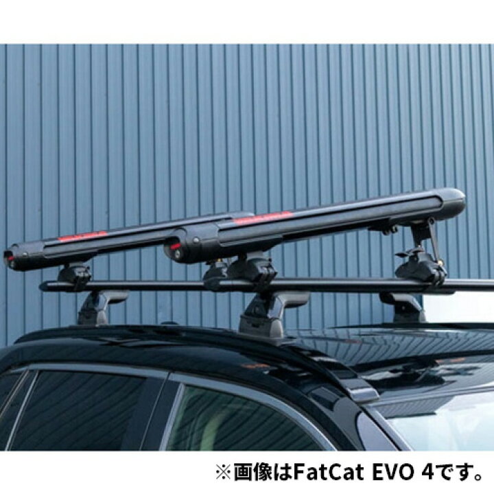 楽天市場】スキー/スノーボードキャリア FatCat EVO 6 ファット 