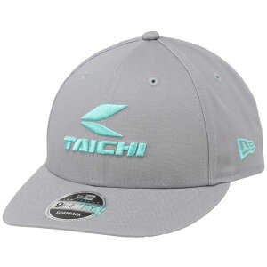 RS^C`(A[GX^C`jLbv NEC015 LP 9FIFTY GRAY/MINT ONE SIZE
