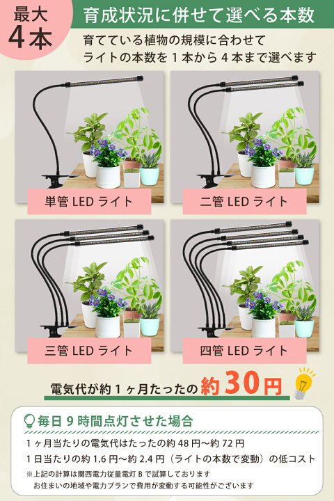 楽天市場】【発売開始記念330円OFFクーポン】 【選べるLEDライト数 