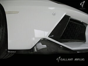 AF^h[ S (LP740) tgA_[fBt[U[ ver.01/GFRP hς