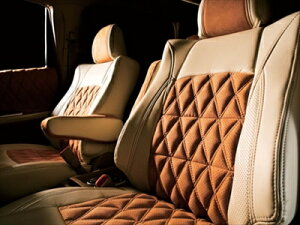 vEX ZVW30  G/Gc[OZNV A^[_ V[gJo[ SL SSPU×SSPU^Cv LUXURY _C