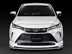 80 nA[ RICERCATO tgn[tX|C[ fn hς