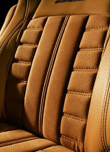 30 Ft@CA 7l  A^[_ V[gJo[ SL SSPU×SSPU×LUXURY XNGA Z[2.5L]