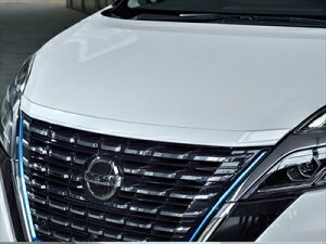 Zi C27  f|e t[hgbv[ fn hς