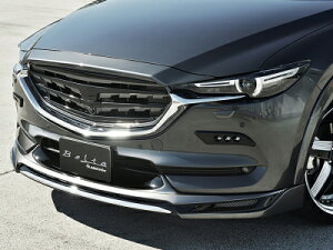 KG CX-8 O Belta tgn[tX|C[ [J[PFhi t
