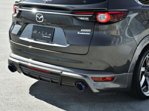 KG CX-8 O Belta n[tX|C[ (EVOop) [J[PFhi t