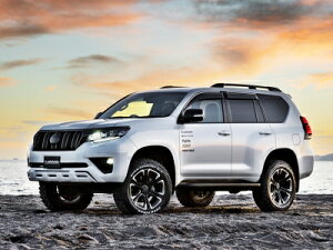 150 hN[U[ vh  tgXLbhX|C[ [J[PFh ubN202 t