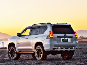 150 hN[U[ vh  XLbhX|C[[J[PFh ubN202t