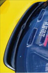 NSX GT���A�K�[�j�b�V��