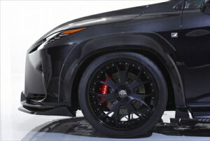 LEXUS RX 20n O F-SPORT VIPEXE tgI[o[tF_[ hς