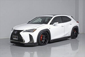 LEXUS UX250h F-SPORT TChA_[X|C[