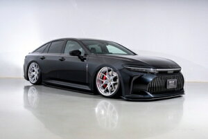 AZSH32 NE VIP SPORT tLbg(3_Zbg) hi