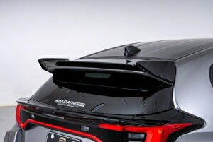 GR X  AIMGAIN SPORT AEBO FRP hi