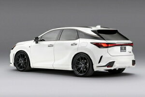 ���N�T�X RX TALH17/TALA15 2022.11- RX500h/350 F-sport ���A�A���_�[�f�B�t���[�U�[ FRP �h����