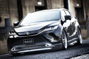 80 nA[ VIP EXE tgX|C[ ht