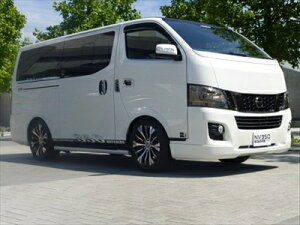 NV350Lo Fn[tX|C[2 fn hς