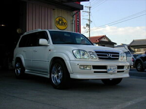 hN[U[ 100 50mmChI[o[tF_[10P ht