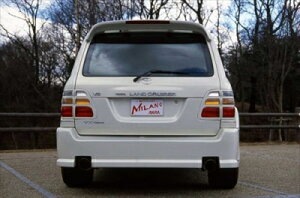 hN[U[ 100 e[K[jbV wʃ^Cp hς