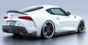 GR X[v SZ/SZ-R/RZ BLACK LABEL ATChfBt[U[ CARBON