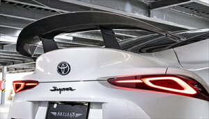 GR X[v SZ/SZ-R/RZ BLACK LABEL AECO CARBON