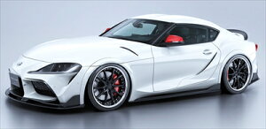 GR X[v SZ/SZ-R/RZ BLACK LABEL tF_[g CARBON