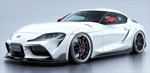 GR X[v SZ/SZ-R/RZ BLACK LABEL TChA_[fBt[U[ CARBON NAhς