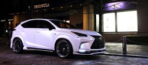 LEXUS NX AGZ10/15 NX200t �O�� F SPORT BLACK LABEL �G�A��4�_�L�b�g FRP��