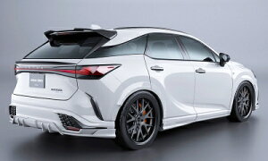 ALA/ALH 10n NTX RX BLACK LABEL AA_[fBt[U[ F-SPORTp fn