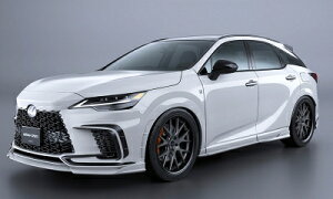 ALA/ALH 10n NTX RX BLACK LABEL tgop[K[jbV F-SPORTp J[{ fn