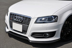 Audi S3 8P X|[cobN J[{tgX|C[