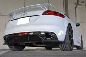 Audi TTRS J[{AfBt[U[ NAhς