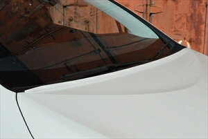 vEXPHV ZVW52 ADESSO {lbgX|C[ hς