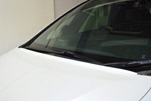 40 Ft@CA {lbgX|C[ FRP fn