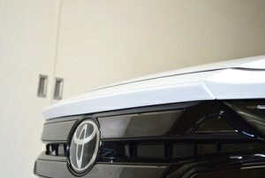 40 Ft@CA t[hgbvX|C[ FRP ht