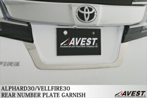 Ft@CA 30n Aio[v[gK[jbV