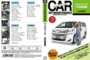 Ft@CA 30n  ԂDIYeiXDVDV[Y